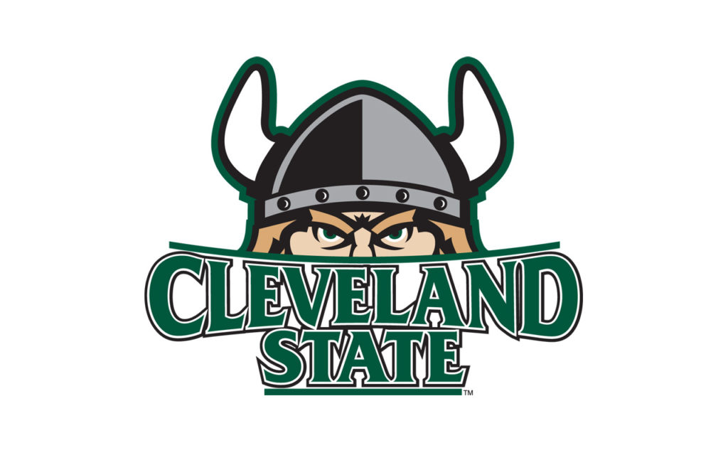 CSU-viking